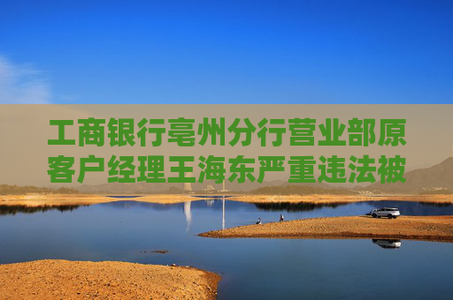 工商银行亳州分行营业部原客户经理王海东严重违法被开除公职