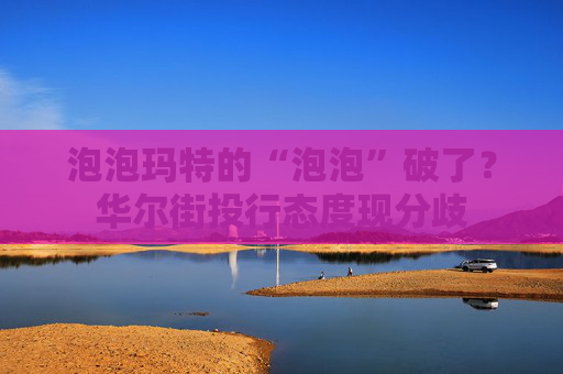 泡泡玛特的“泡泡”破了？华尔街投行态度现分歧