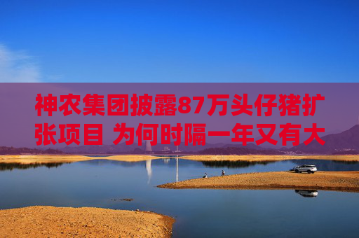 神农集团披露87万头仔猪扩张项目 为何时隔一年又有大手笔？公司：去年已在跟进