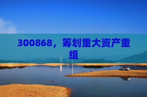 300868，筹划重大资产重组