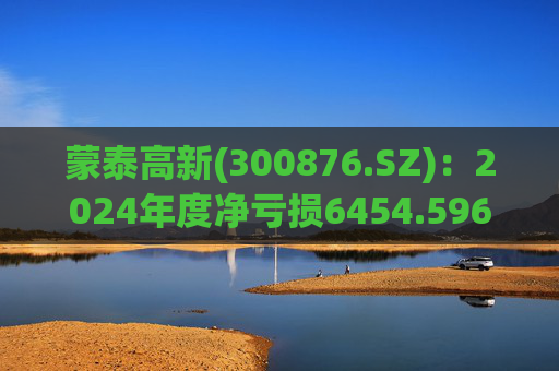 蒙泰高新(300876.SZ)：2024年度净亏损6454.596万元