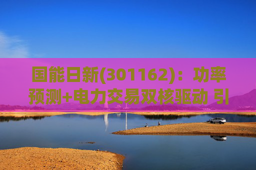 国能日新(301162)：功率预测+电力交易双核驱动 引领业绩持续高增长