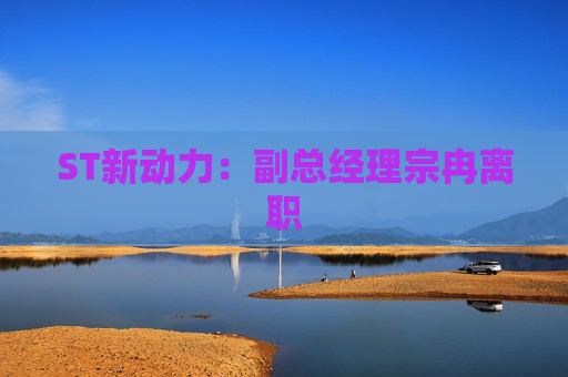 ST新动力：副总经理宗冉离职