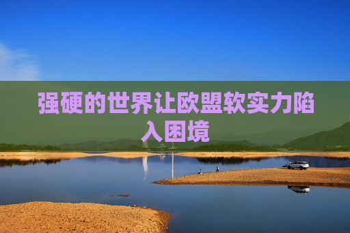 强硬的世界让欧盟软实力陷入困境