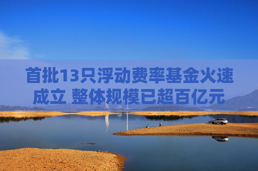 首批13只浮动费率基金火速成立 整体规模已超百亿元