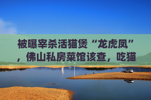 被曝宰杀活猫煲“龙虎凤”，佛山私房菜馆该查，吃猫狗的食俗也须反思 | 新京报微评