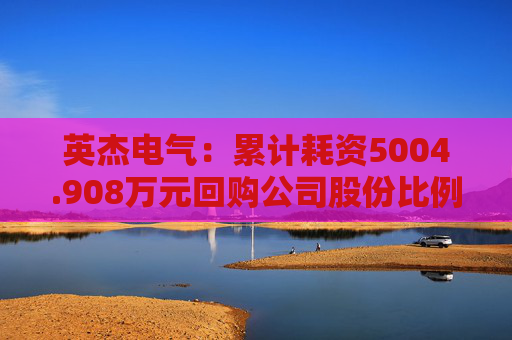 英杰电气：累计耗资5004.908万元回购公司股份比例达到0.6290%  第1张