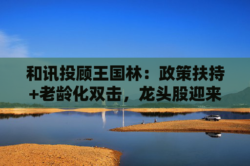 和讯投顾王国林：政策扶持+老龄化双击，龙头股迎来估值拐点！  第1张
