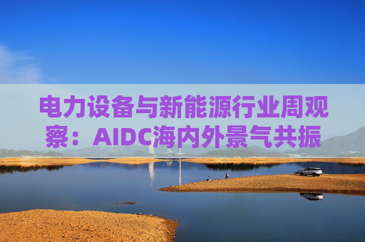电力设备与新能源行业周观察：AIDC海内外景气共振 储能需求向好发展