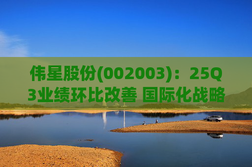 伟星股份(002003)：25Q3业绩环比改善 国际化战略保障成长
