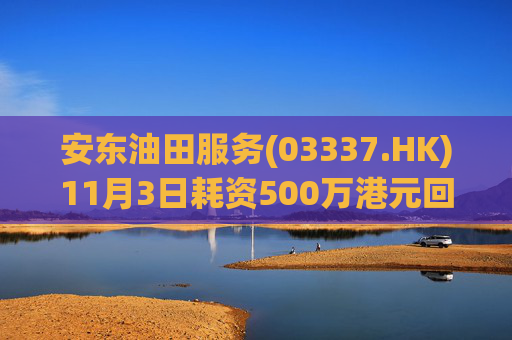 安东油田服务(03337.HK)11月3日耗资500万港元回购472万股