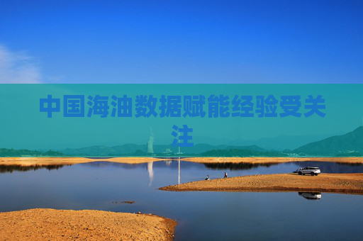 中国海油数据赋能经验受关注