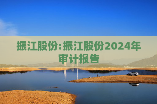 振江股份:振江股份2024年审计报告