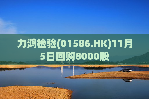 力鸿检验(01586.HK)11月5日回购8000股