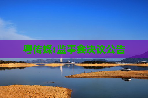 粤传媒:监事会决议公告