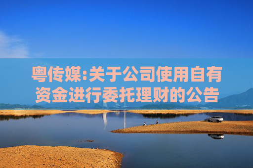 粤传媒:关于公司使用自有资金进行委托理财的公告  第1张