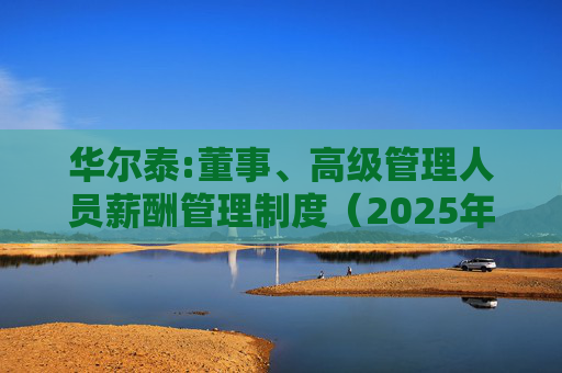 华尔泰:董事、高级管理人员薪酬管理制度（2025年11月）