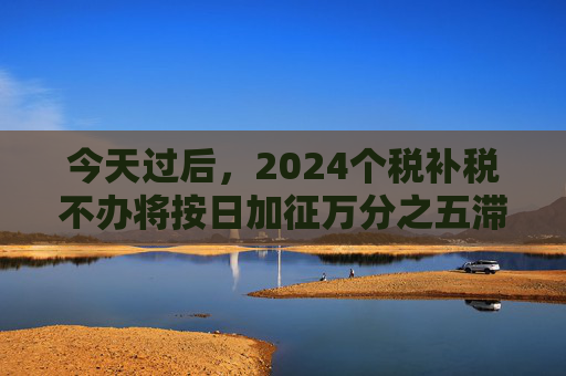 今天过后，2024个税补税不办将按日加征万分之五滞纳金