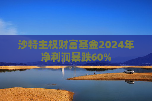 沙特主权财富基金2024年净利润暴跌60%