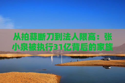 从拍蒜断刀到法人限高：张小泉被执行31亿背后的家族企业治理黑洞  第1张