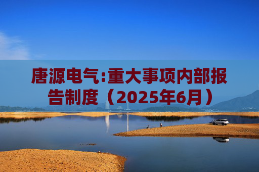 唐源电气:重大事项内部报告制度（2025年6月）