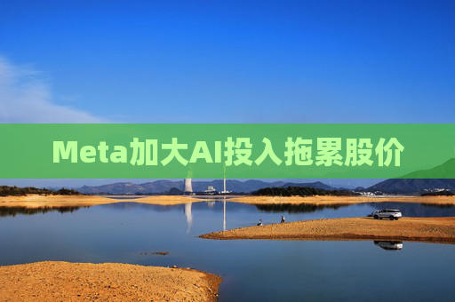 Meta加大AI投入拖累股价
