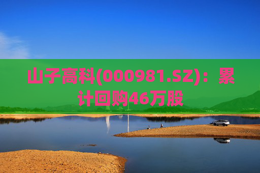 山子高科(000981.SZ)：累计回购46万股  第1张