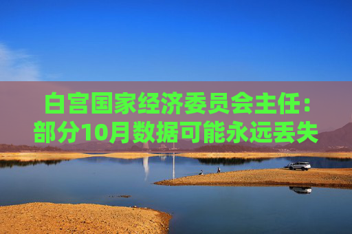 白宫国家经济委员会主任:部分10月数据可能永远丢失