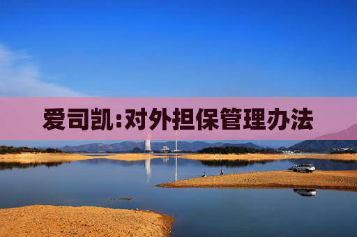 爱司凯:对外担保管理办法  第1张