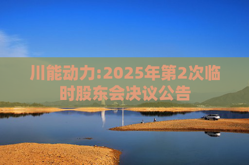 川能动力:2025年第2次临时股东会决议公告