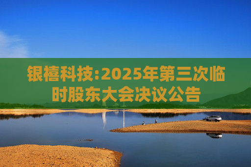 银禧科技:2025年第三次临时股东大会决议公告