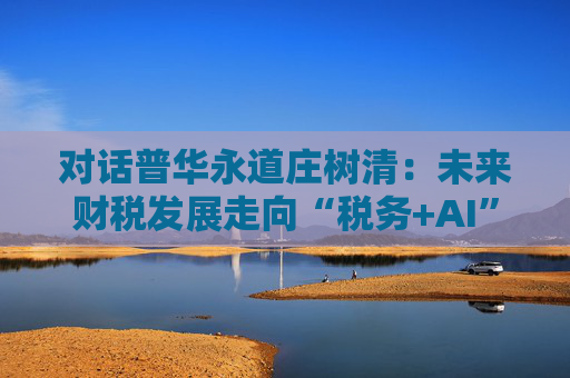 对话普华永道庄树清：未来财税发展走向“税务+AI”，AI应用底线依然是“数据可控”