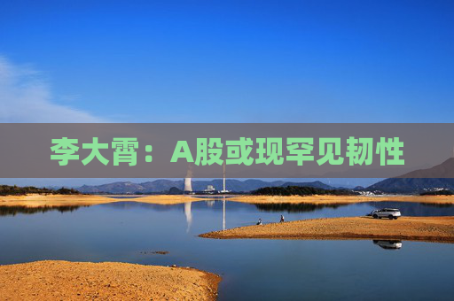 李大霄：A股或现罕见韧性