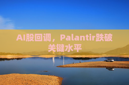 AI股回调，Palantir跌破关键水平