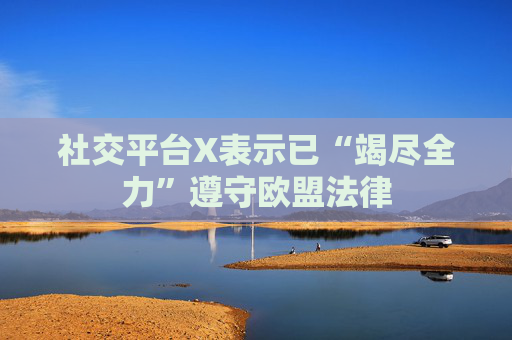 社交平台X表示已“竭尽全力”遵守欧盟法律  第1张