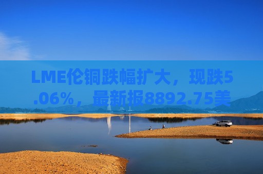 LME伦铜跌幅扩大，现跌5.06%，最新报8892.75美元/吨  第1张