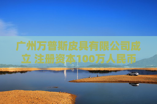 广州万普斯皮具有限公司成立 注册资本100万人民币