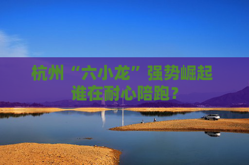 杭州“六小龙”强势崛起 谁在耐心陪跑？