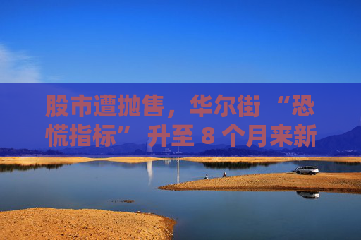 股市遭抛售，华尔街 “恐慌指标” 升至 8 个月来新高