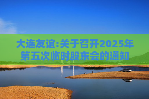 大连友谊:关于召开2025年第五次临时股东会的通知