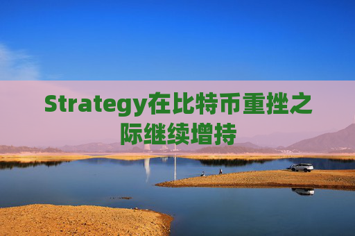 Strategy在比特币重挫之际继续增持
