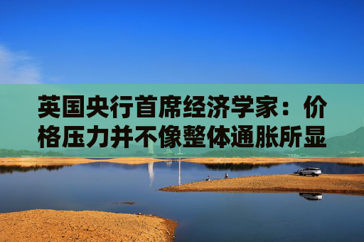 英国央行首席经济学家:价格压力并不像整体通胀所显示的那样强