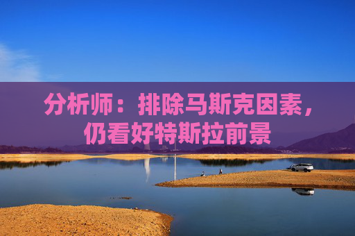 分析师：排除马斯克因素，仍看好特斯拉前景  第1张