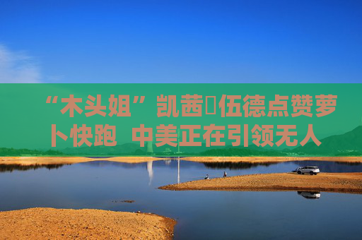 “木头姐”凯茜・伍德点赞萝卜快跑  中美正在引领无人驾驶的发展潮流