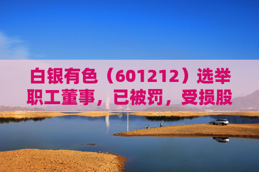 白银有色（601212）选举职工董事，已被罚，受损股民可索赔