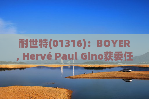 耐世特(01316)：BOYER, Hervé Paul Gino获委任为执行董事  第1张