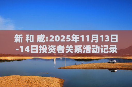 新 和 成:2025年11月13日-14日投资者关系活动记录表
