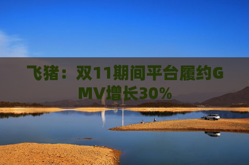 飞猪：双11期间平台履约GMV增长30%