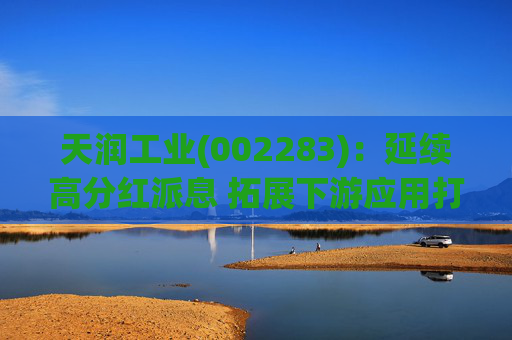 天润工业(002283)：延续高分红派息 拓展下游应用打开成长空间