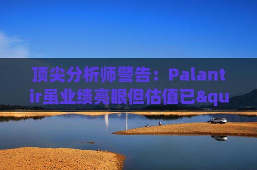 顶尖分析师警告：Palantir虽业绩亮眼但估值已"趋于完美"